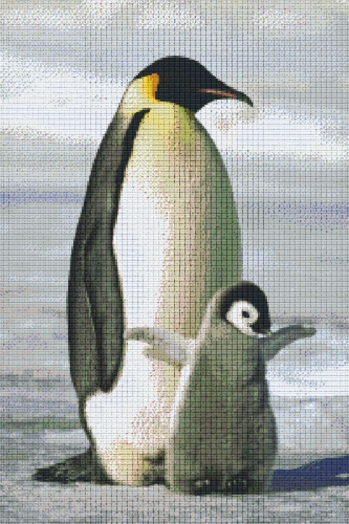 Pinguins Thirty [30] Baseplate PixelHobby Mini-mosaic Art Kit image 0